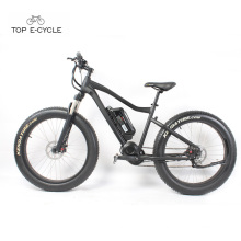 Hot sale 26inch front fork suspension fat tire mountain electric bike